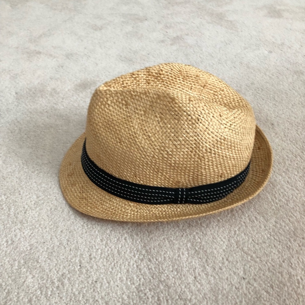 2 Fedora Style Hats